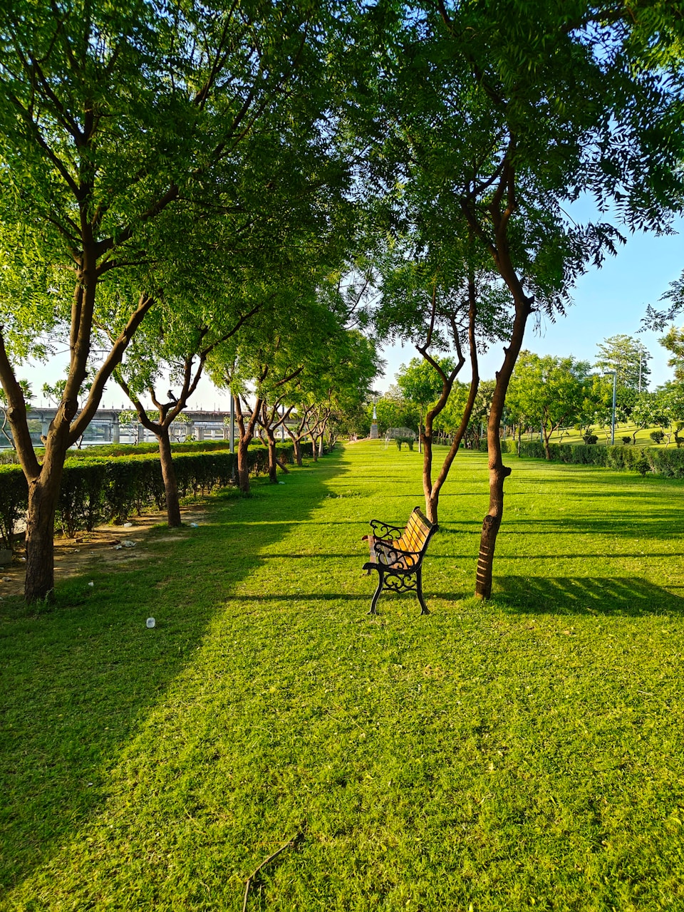 Landscaped Il Bayou residences